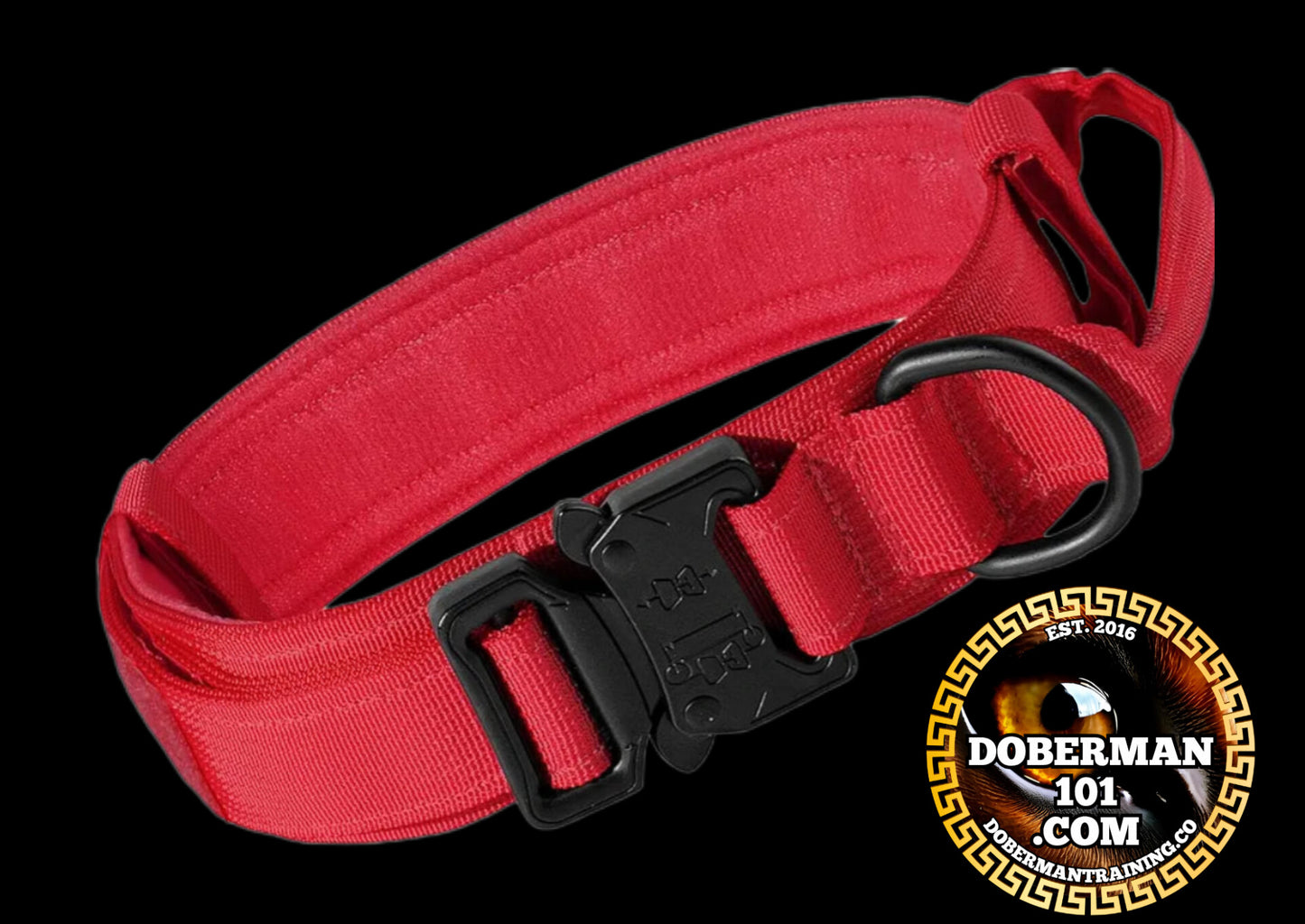 Tactical Collar, Audio Training Guides & Coaching Combo