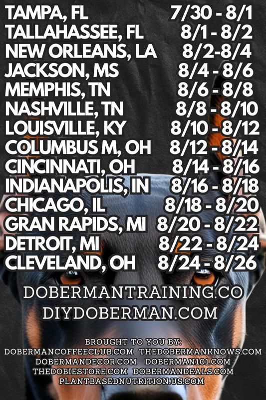Chicago, Illinois 8/18 - 8/20  Doberman Training Tour: In-Person & Online Coaching Program