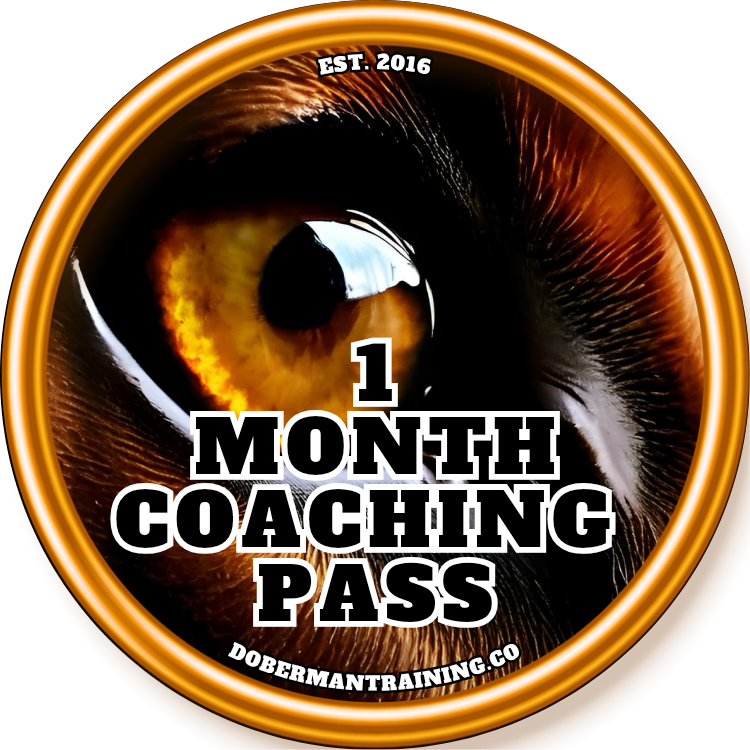 1 Month Coaching Pass