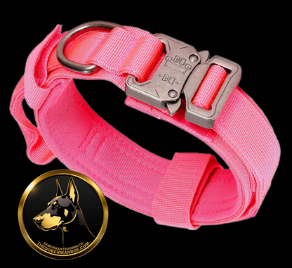 Tactical Collar, Audio Training Guides & Coaching Combo