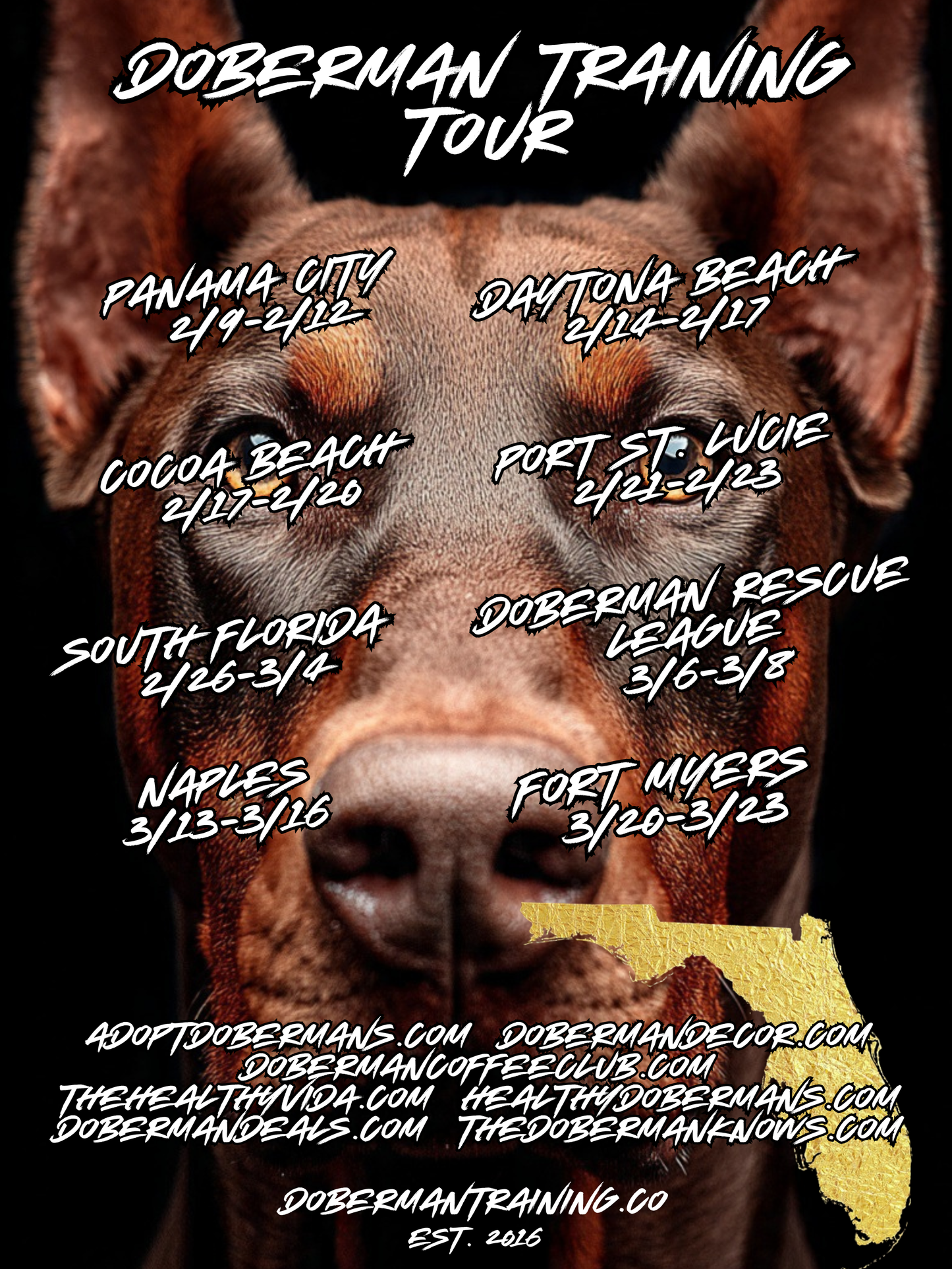 Naples, Florida 3/13-3/16 Doberman Training Tour: In-Person Training & Online Coaching Program