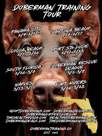 Naples, Florida 3/13-3/16 Doberman Training Tour: In-Person Training & Online Coaching Program