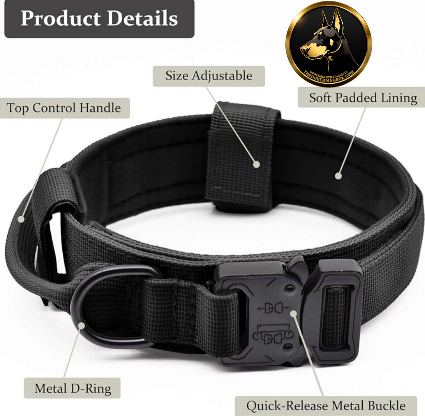 Tactical Collar, Audio Training Guides & Coaching Combo