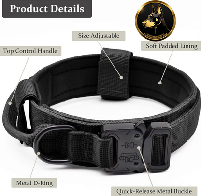 Tactical Collar, Audio Training Guides & Coaching Combo