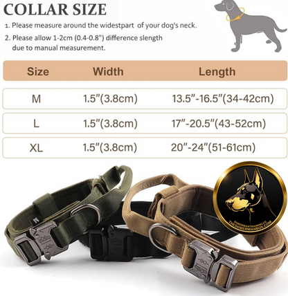 Tactical Collar, Audio Training Guides & Coaching Combo
