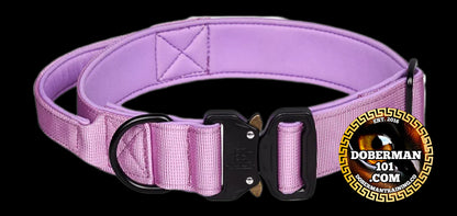 Tactical Collar, Audio Training Guides & Coaching Combo