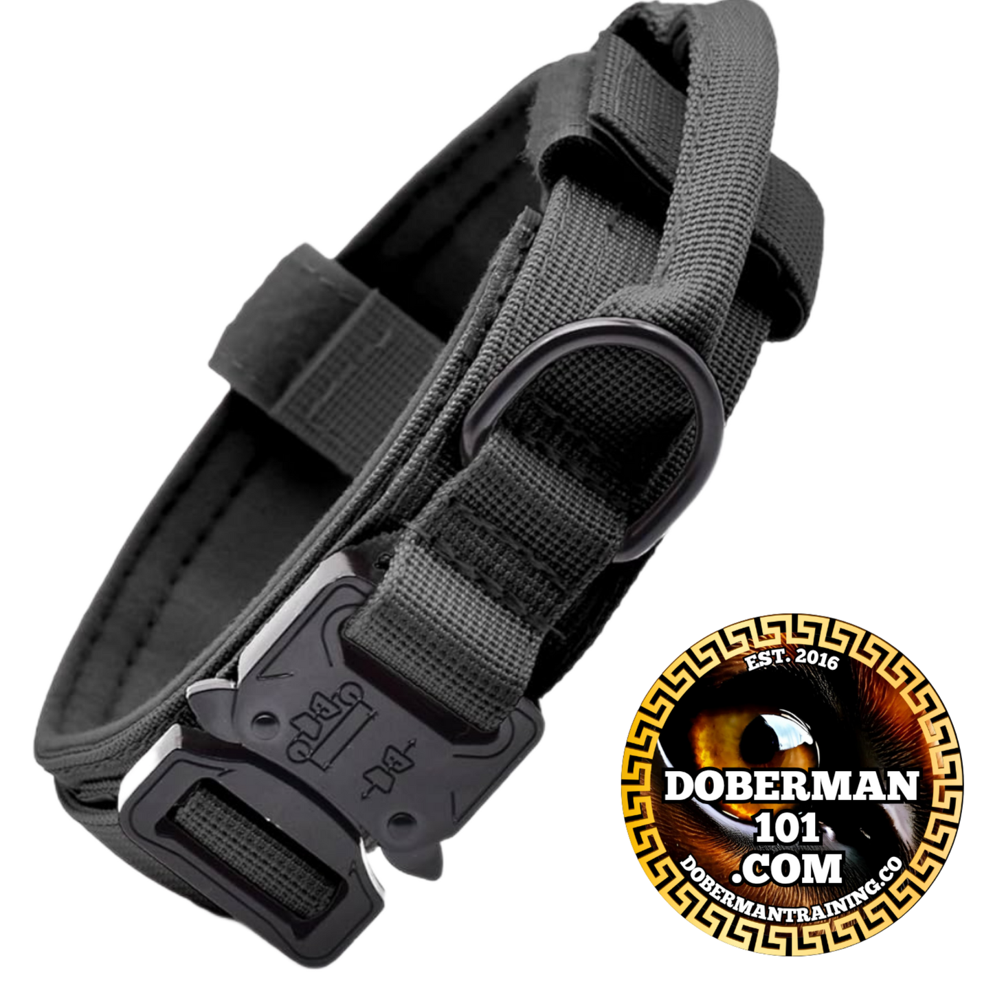 Tactical Collar, Audio Training Guides & Coaching Combo