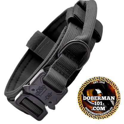 Tactical Collar, Audio Training Guides & Coaching Combo