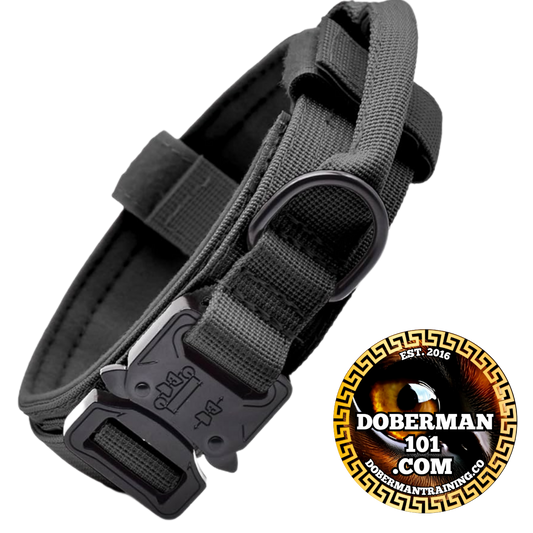 Tactical Collar, Audio Training Guides & Coaching Combo