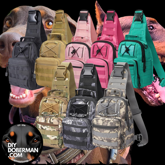 Tactical Sling Bag + 9-Episode Audio Guide by Luis Fernando Doberman