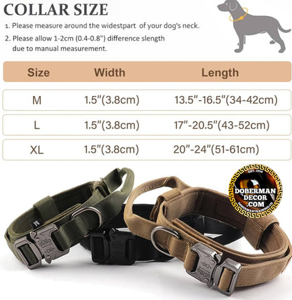 Tactical Collar, Audio Training Guides & Coaching Combo
