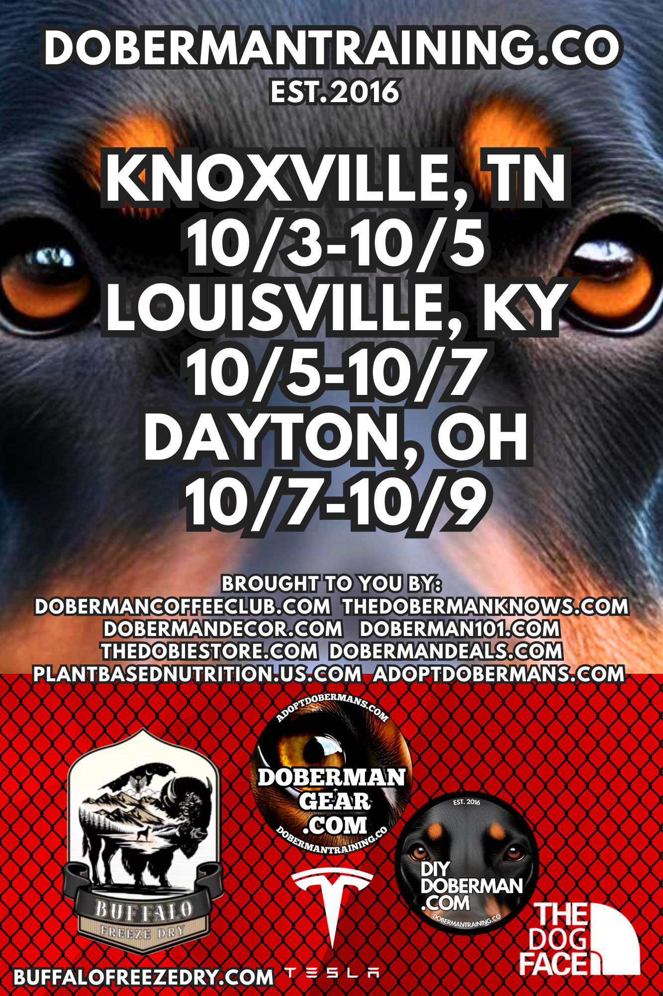 Albuquerque, New Mexico 11/9-11/11 Doberman Training Tour: In-Person Training & Online Coaching Program