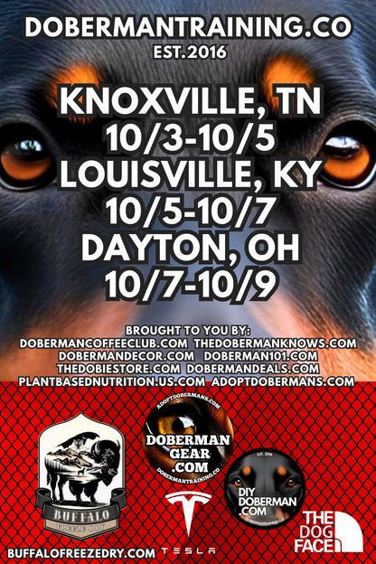 Albuquerque, New Mexico 11/9-11/11 Doberman Training Tour: In-Person Training & Online Coaching Program
