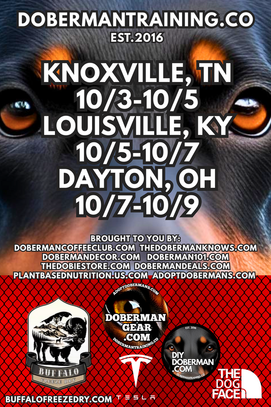 Dayton, Ohio 10/7-10/9 Doberman Training Tour: In-Person Training & Online Coaching Program