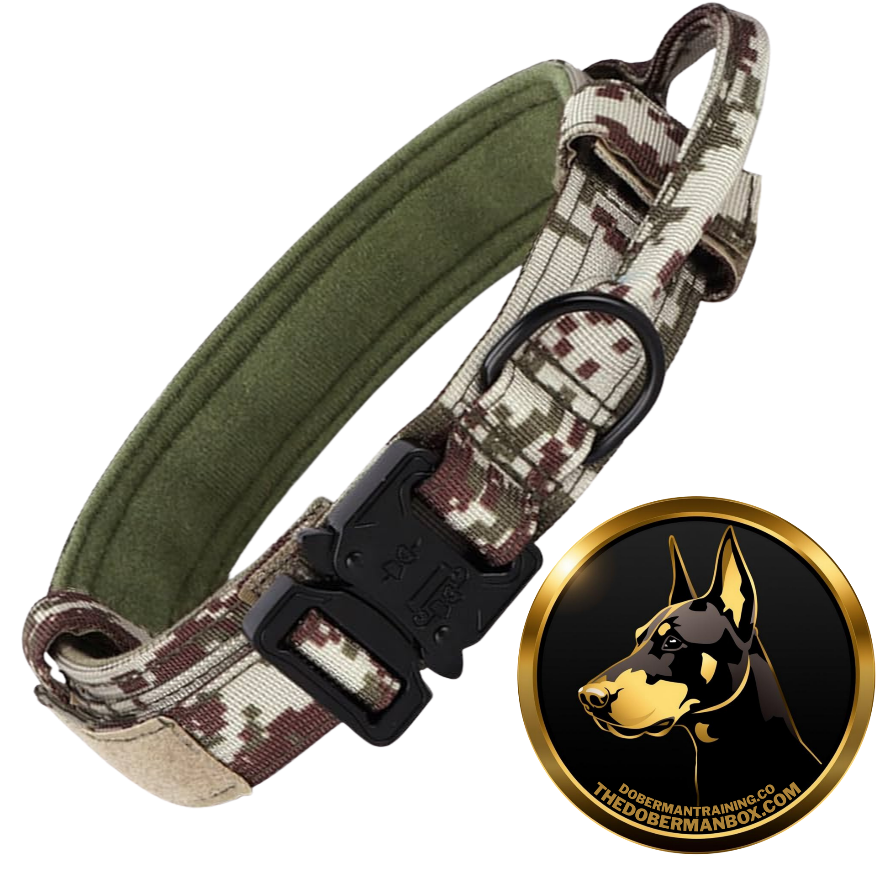 Tactical Collar, Audio Training Guides & Coaching Combo
