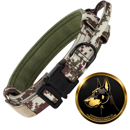 Tactical Collar, Audio Training Guides & Coaching Combo