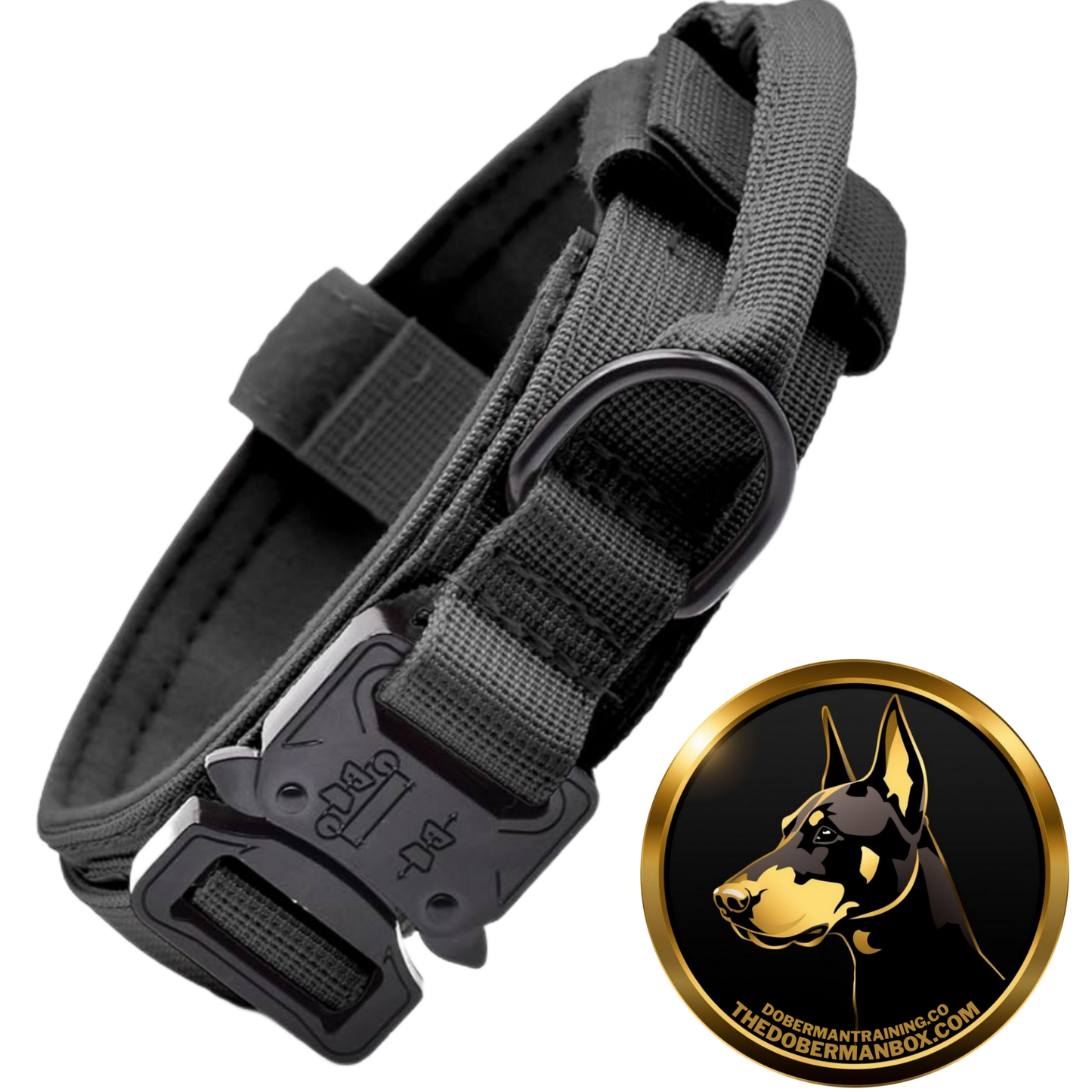 Tactical Collar, Audio Training Guides & Coaching Combo