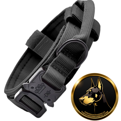 Tactical Collar, Audio Training Guides & Coaching Combo