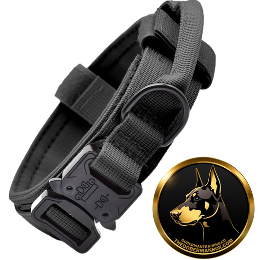 Tactical Collar, Audio Training Guides & Coaching Combo