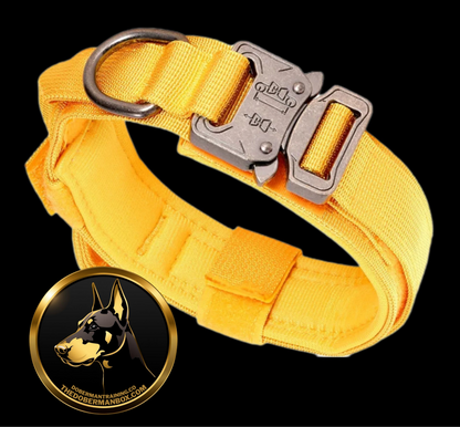 Tactical Collar, Audio Training Guides & Coaching Combo