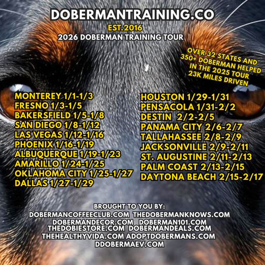 Albuquerque, New Mexico 1/19 -1/23 Doberman Training Tour: In-Person Training & Online Coaching Program