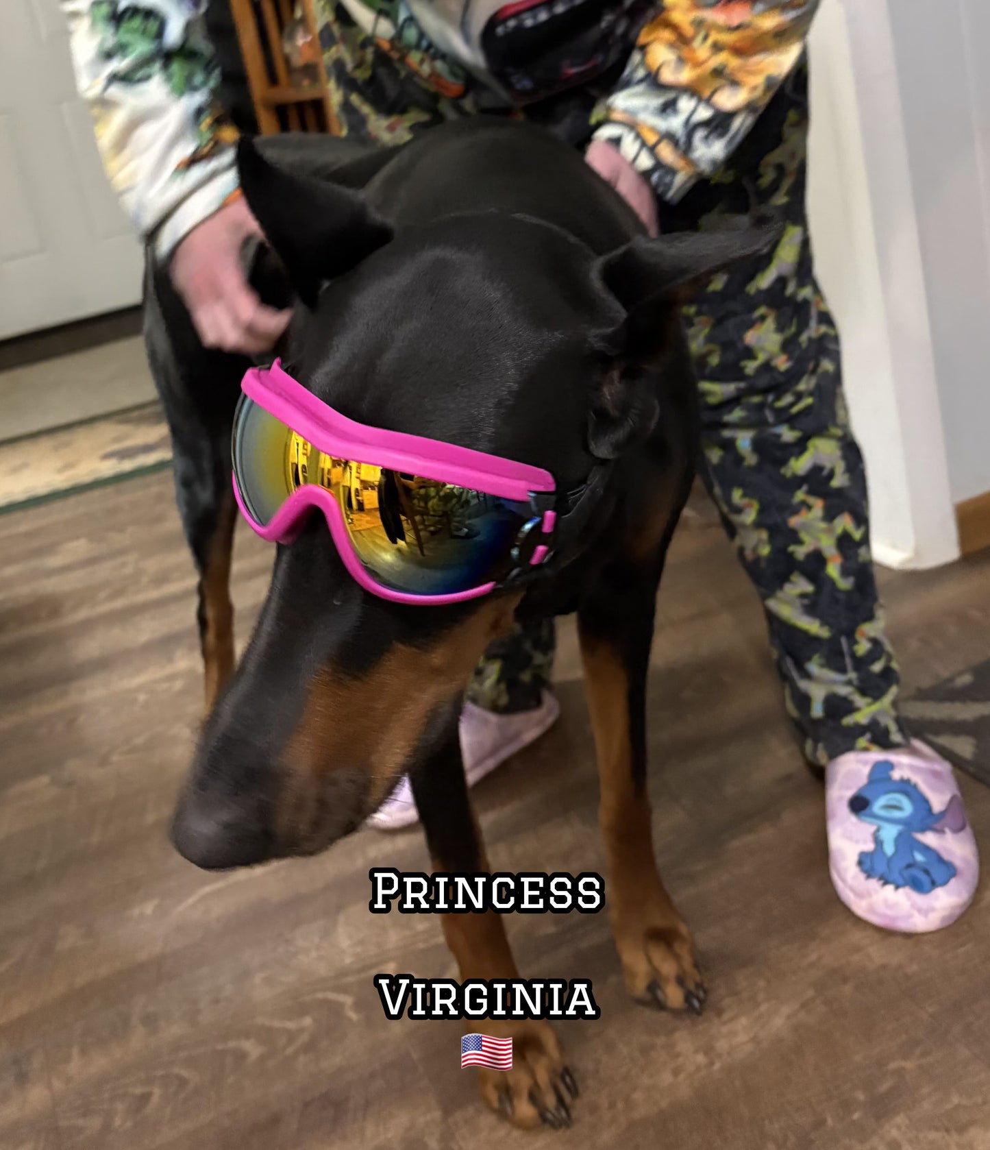 Doberman Goggles