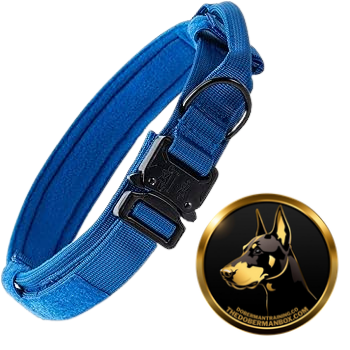 Tactical Collar, Audio Training Guides & Coaching Combo