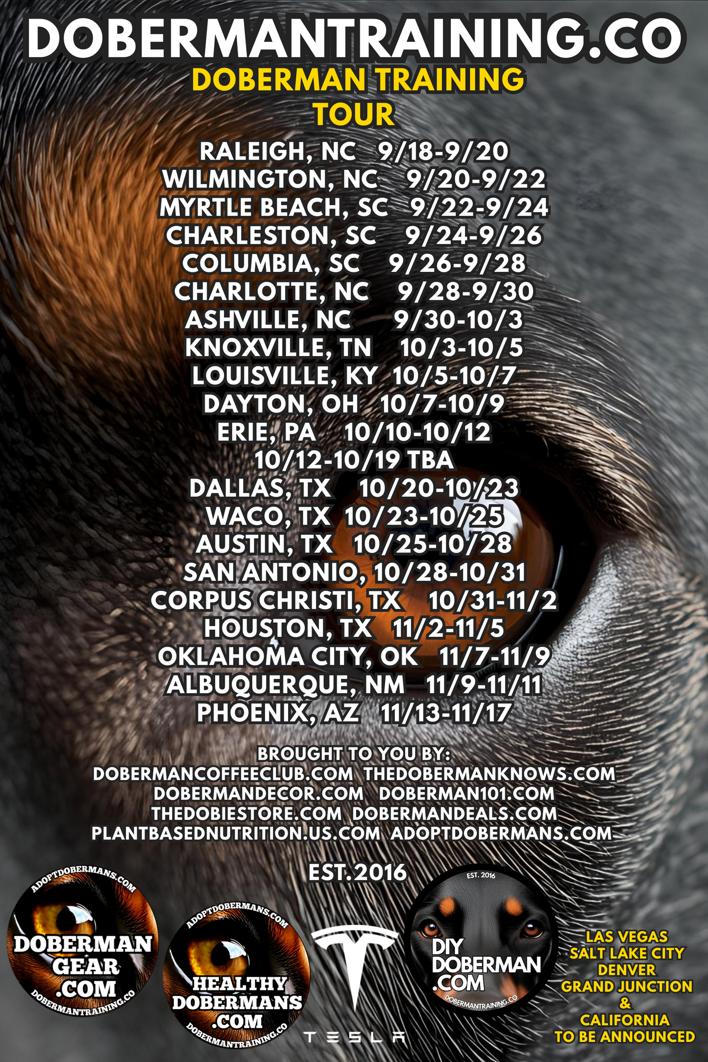 Albuquerque, New Mexico 11/9-11/11 Doberman Training Tour: In-Person Training & Online Coaching Program