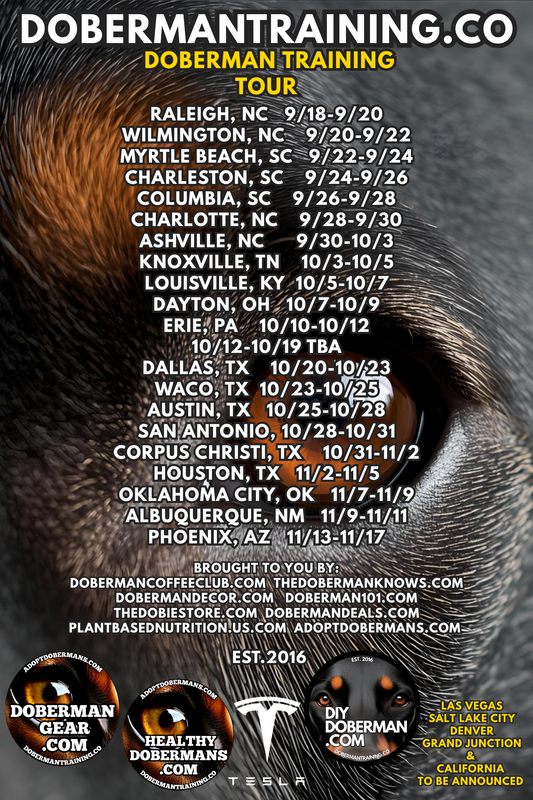 Albuquerque, New Mexico 11/9-11/11 Doberman Training Tour: In-Person Training & Online Coaching Program