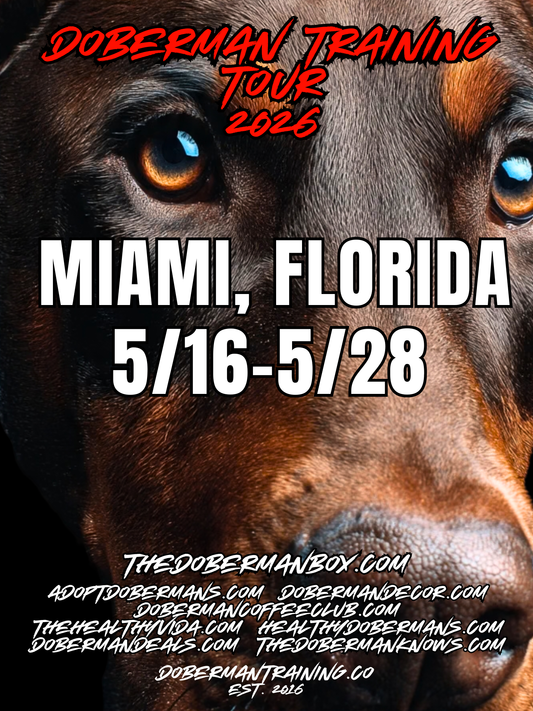 Miami, Florida 5/16-5/28 Doberman Training Tour: In-Person Training & Online Coaching Program