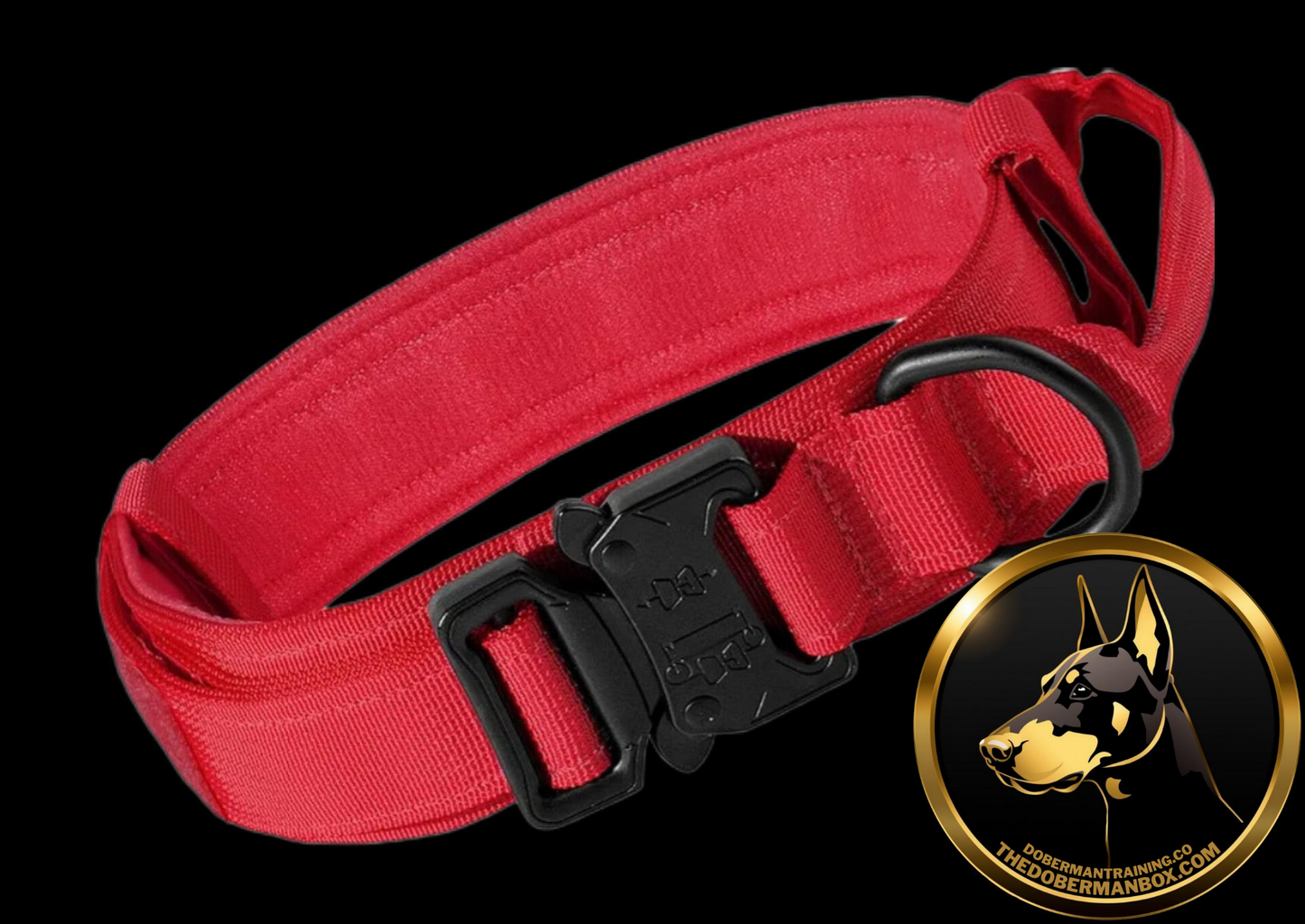Tactical Collar, Audio Training Guides & Coaching Combo