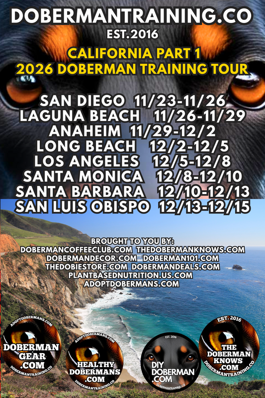Anaheim, California 11/29-12/2 Doberman Training Tour: In-Person Training & Online Coaching Program