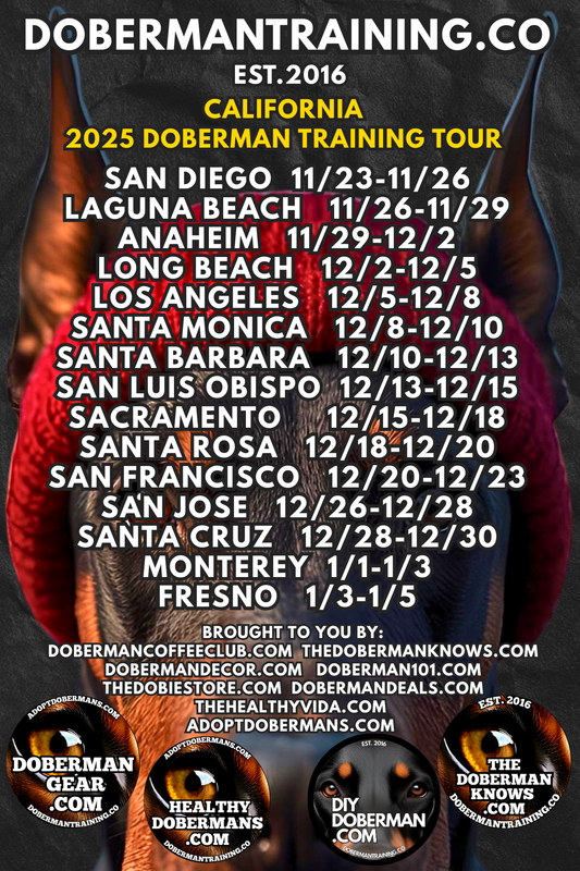 Sacramento, California 12/15-12/18 Doberman Training Tour: In-Person Training & Online Coaching Program