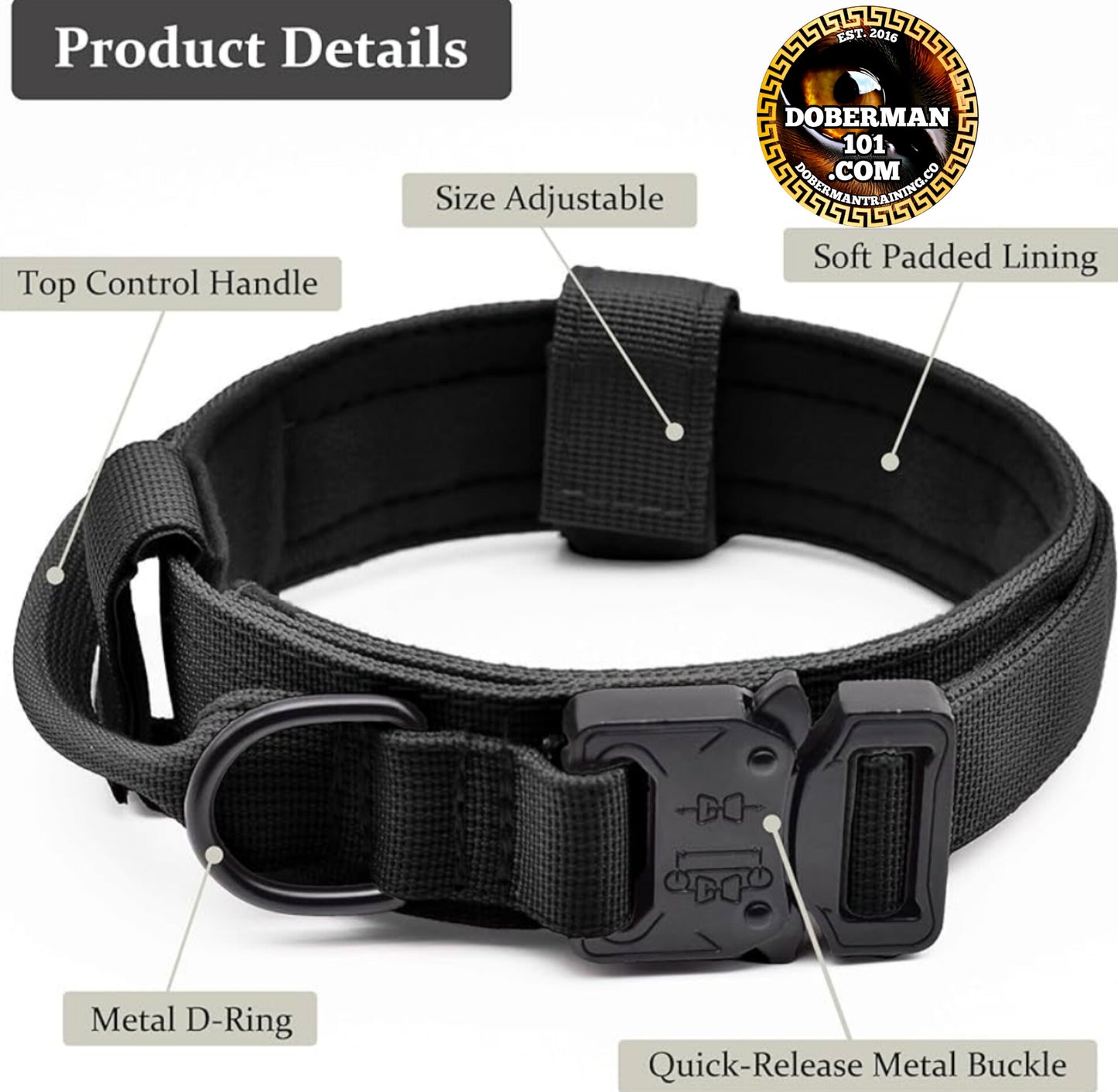 Tactical Collar, Audio Training Guides & Coaching Combo