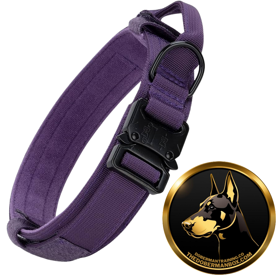 Tactical Collar, Audio Training Guides & Coaching Combo