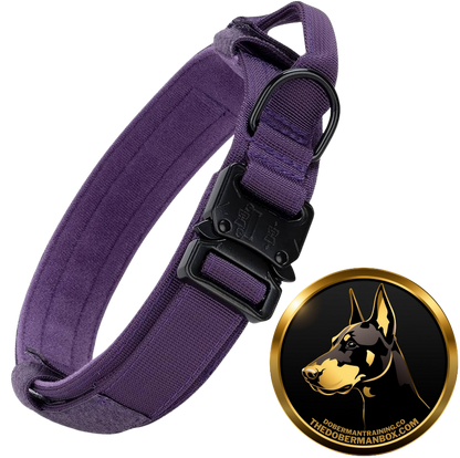 Tactical Collar, Audio Training Guides & Coaching Combo