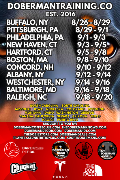 Albuquerque, New Mexico 11/9-11/11 Doberman Training Tour: In-Person Training & Online Coaching Program