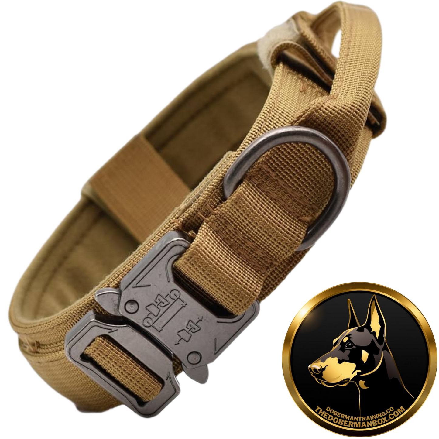 Tactical Collar, Audio Training Guides & Coaching Combo