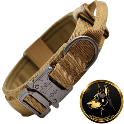 Tactical Collar, Audio Training Guides & Coaching Combo