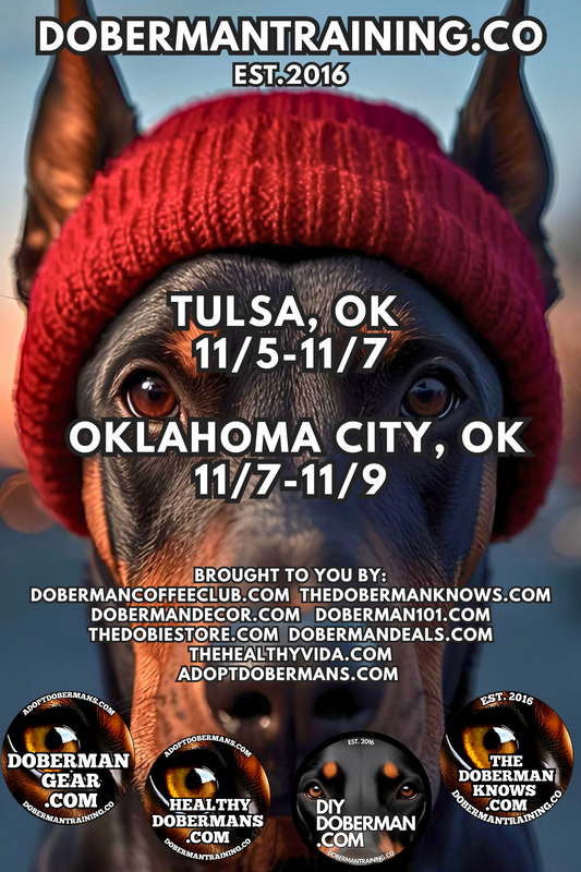 Oklahoma City, Oklahoma 11/7-11/9 Doberman Training Tour: In-Person Training & Online Coaching Program