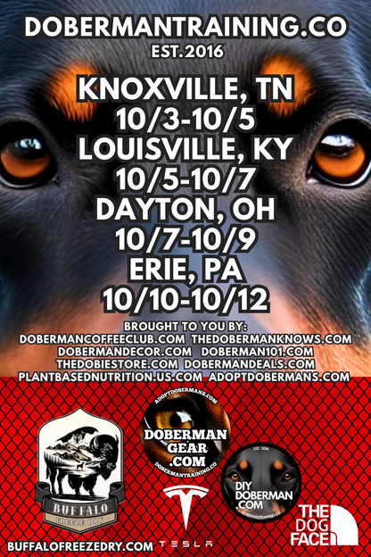 Albuquerque, New Mexico 11/9-11/11 Doberman Training Tour: In-Person Training & Online Coaching Program