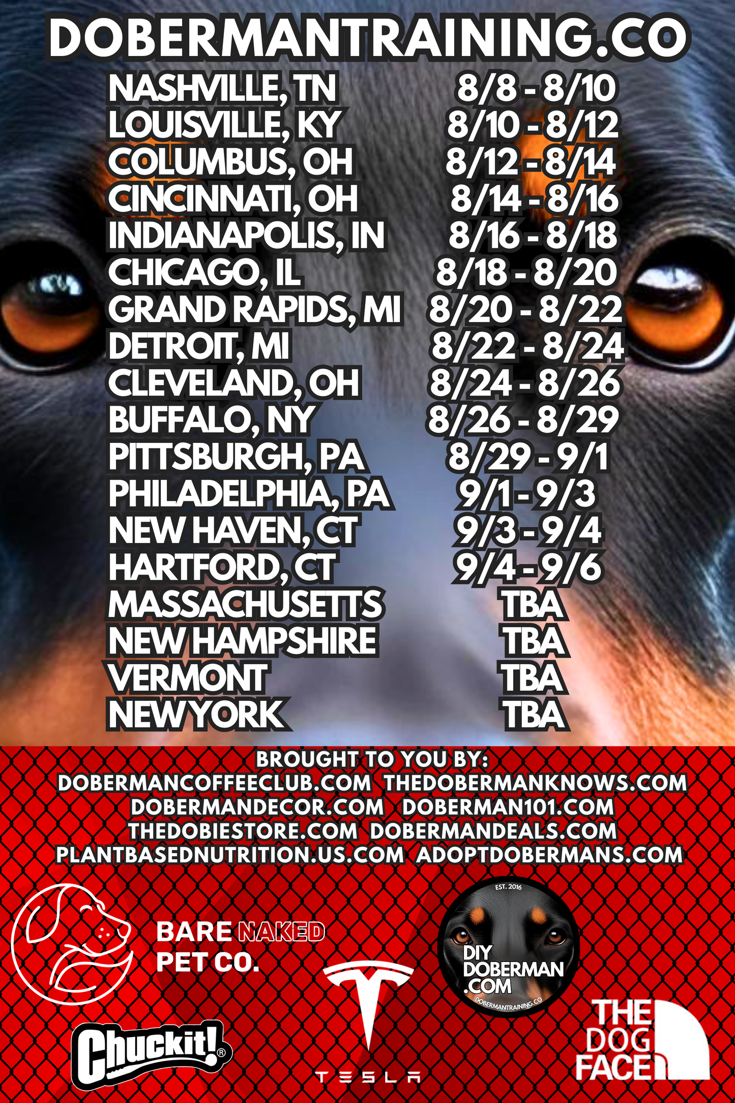 Albuquerque, New Mexico 11/9-11/11 Doberman Training Tour: In-Person Training & Online Coaching Program