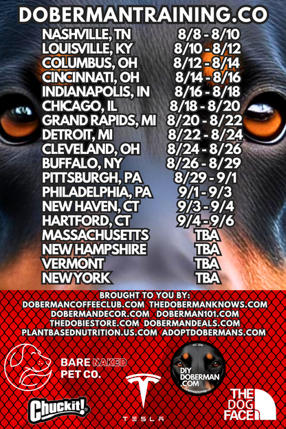 Albuquerque, New Mexico 11/9-11/11 Doberman Training Tour: In-Person Training & Online Coaching Program