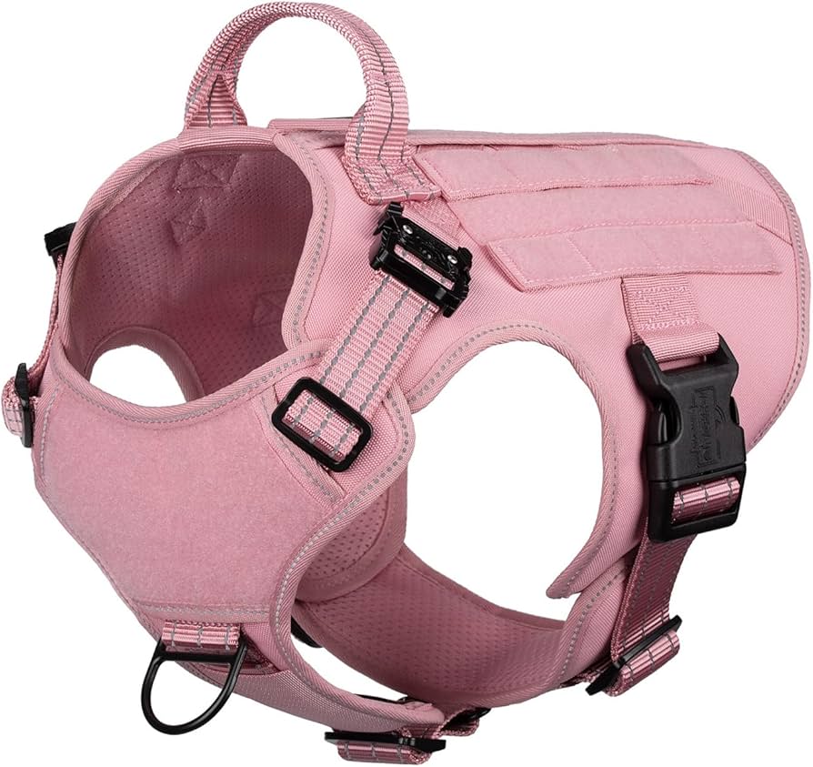 Doberman No-Pull Harness