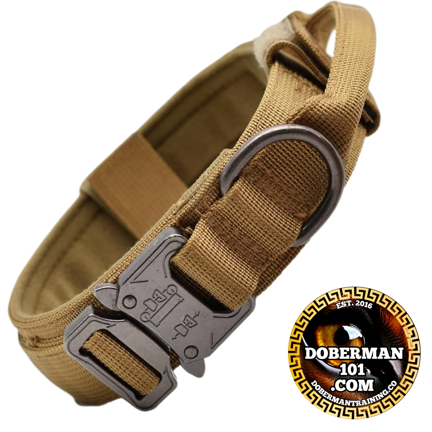 Tactical Collar, Audio Training Guides & Coaching Combo