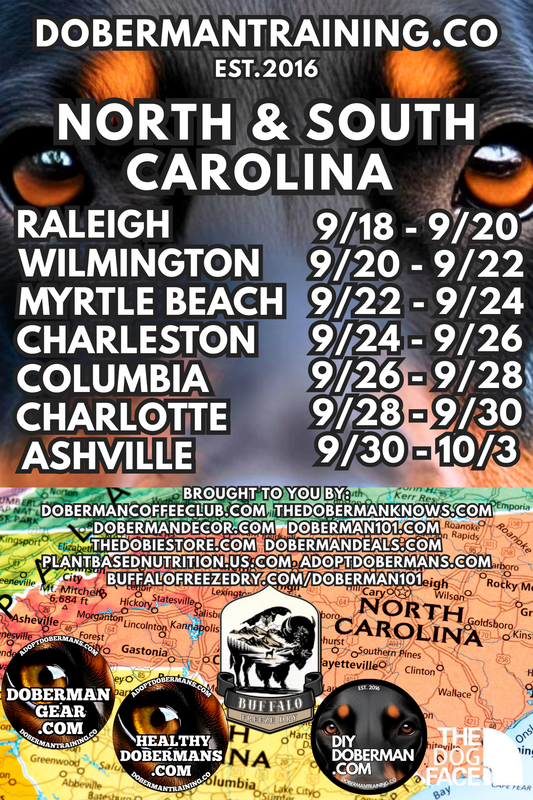 Charleston, South Carolina 9/24 - 9/26 Doberman Training Tour: In-Person Training & Online Coaching Program