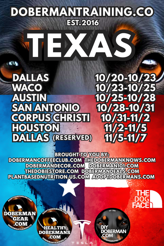 Austin, Texas 10/25 - 10/28 Doberman Training Tour: In-Person Training & Online Coaching Program