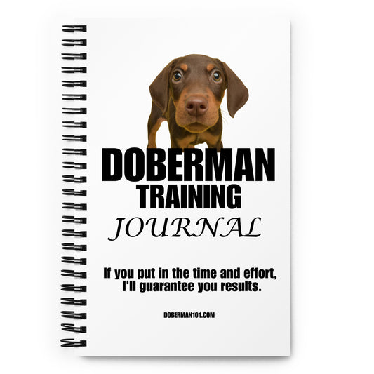 Training Journal & Audio Training Guide Combo