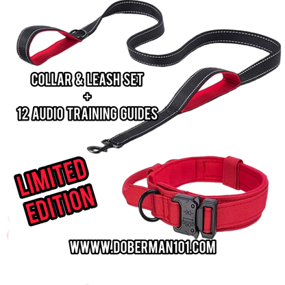 Tactical Collar or/& Leash