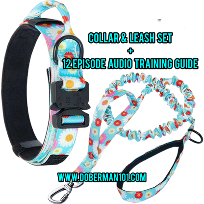 Tactical Collar or/& Leash